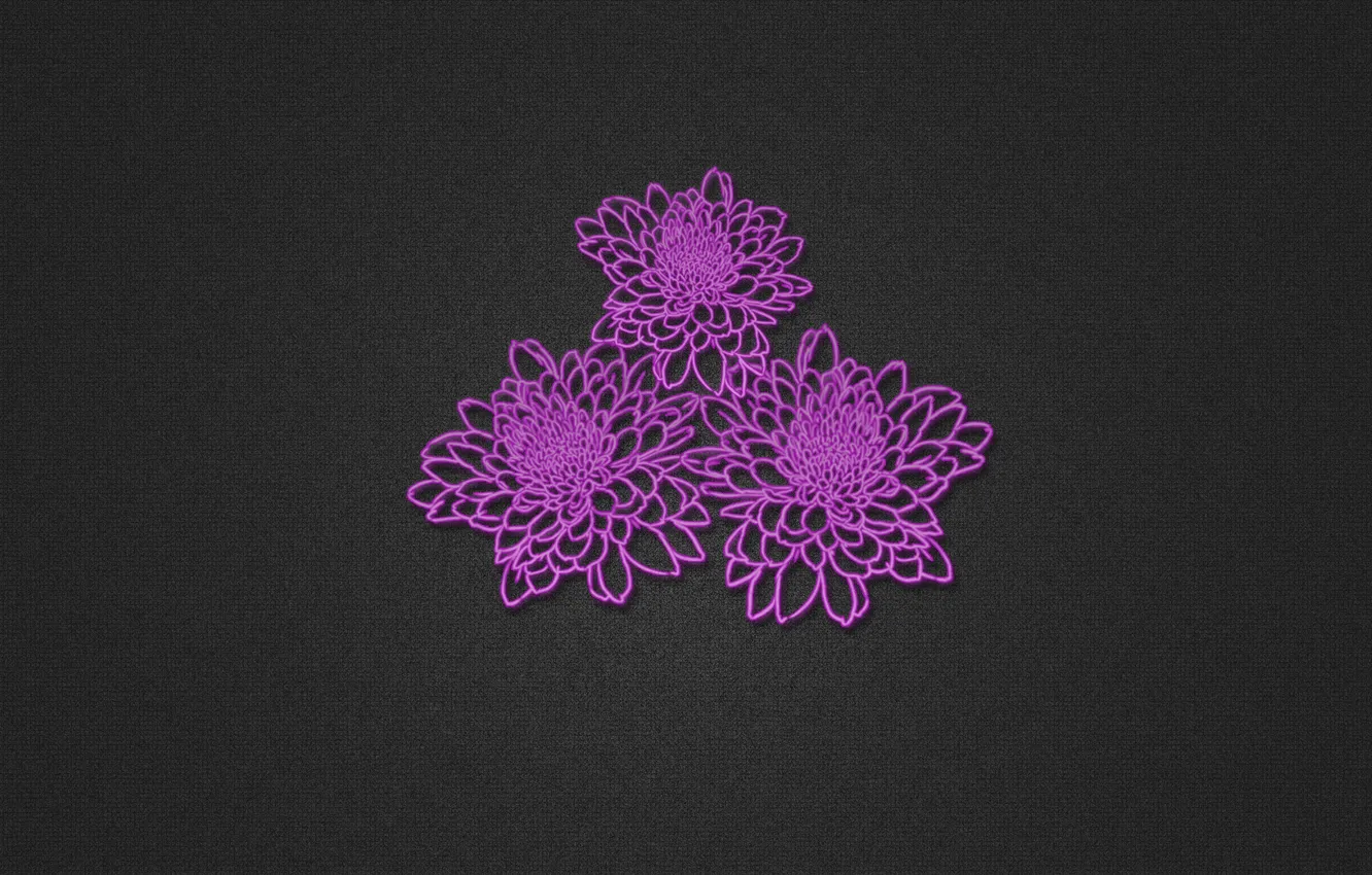 Photo wallpaper flowers, minimalism, texture, texture, 1920x1200, flowers, Minimalism