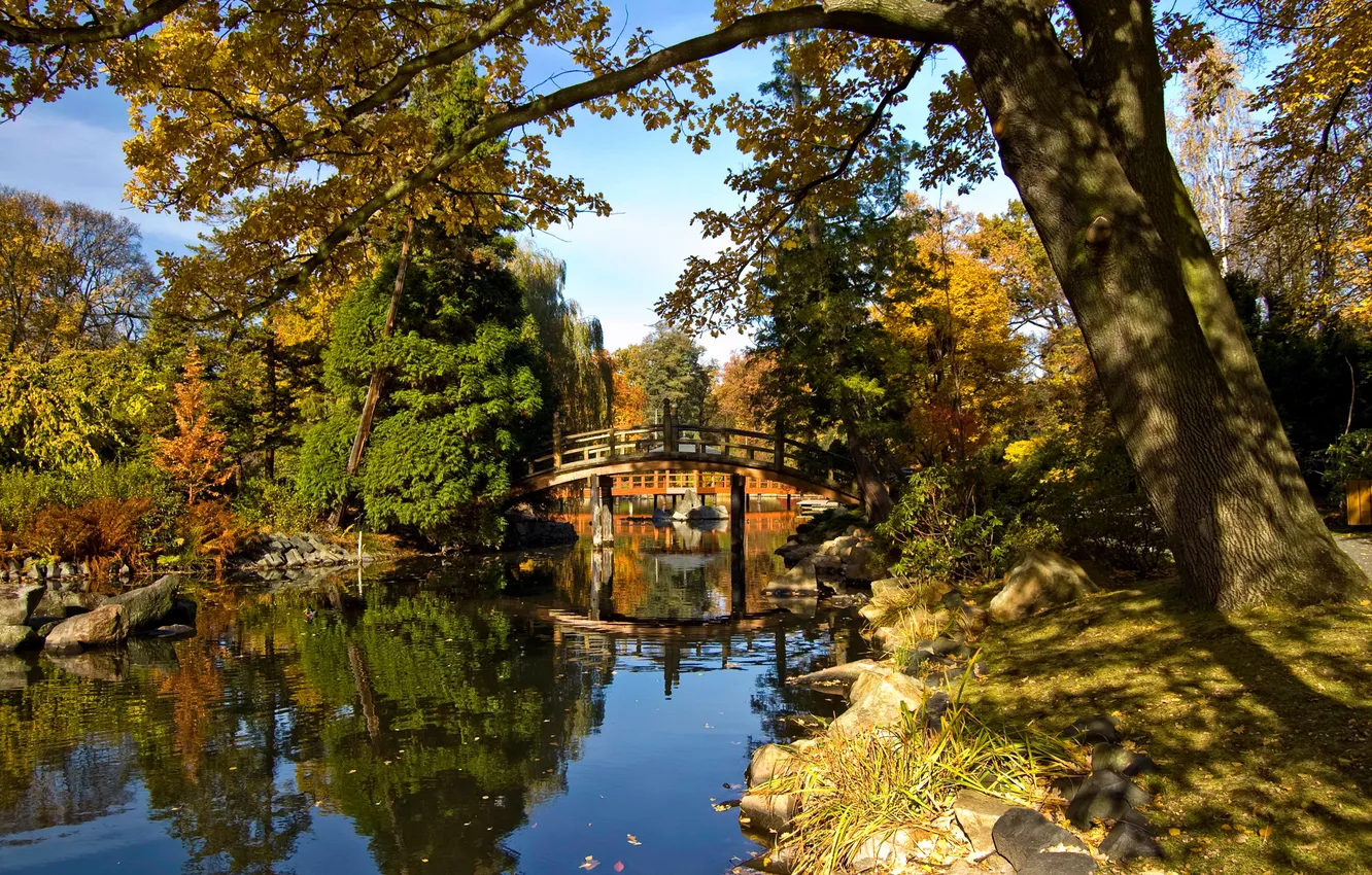Photo wallpaper autumn, the sky, trees, bridge, pond, Park