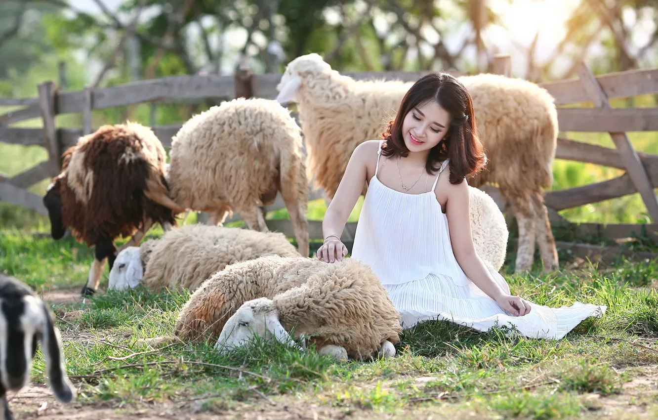 Photo wallpaper girl, nature, sheep