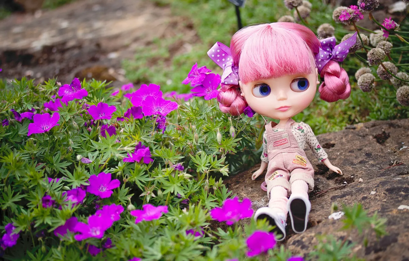 Photo wallpaper look, flowers, stone, toy, doll, sitting, pink hair