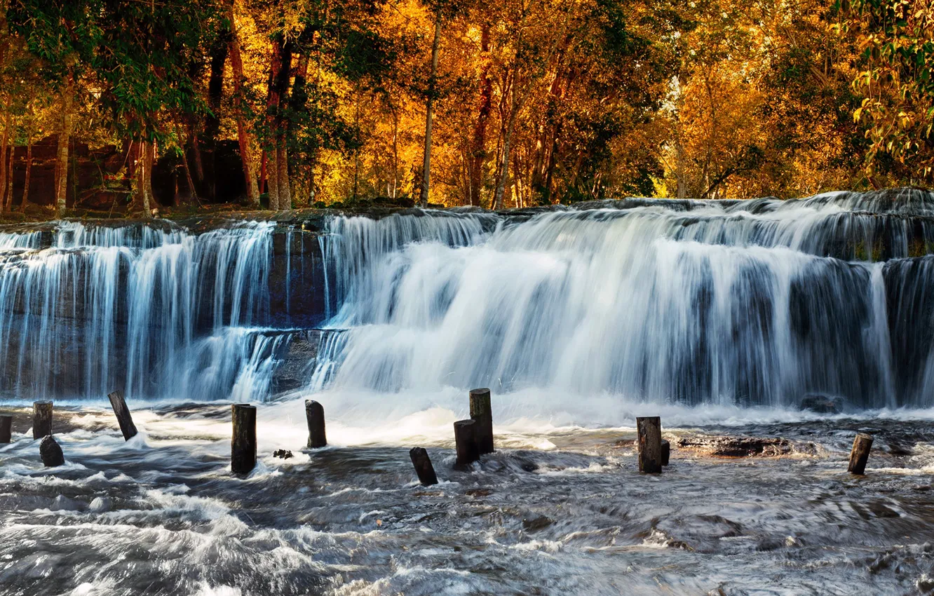 Photo wallpaper autumn, forest, the sun, trees, yellow, waterfall