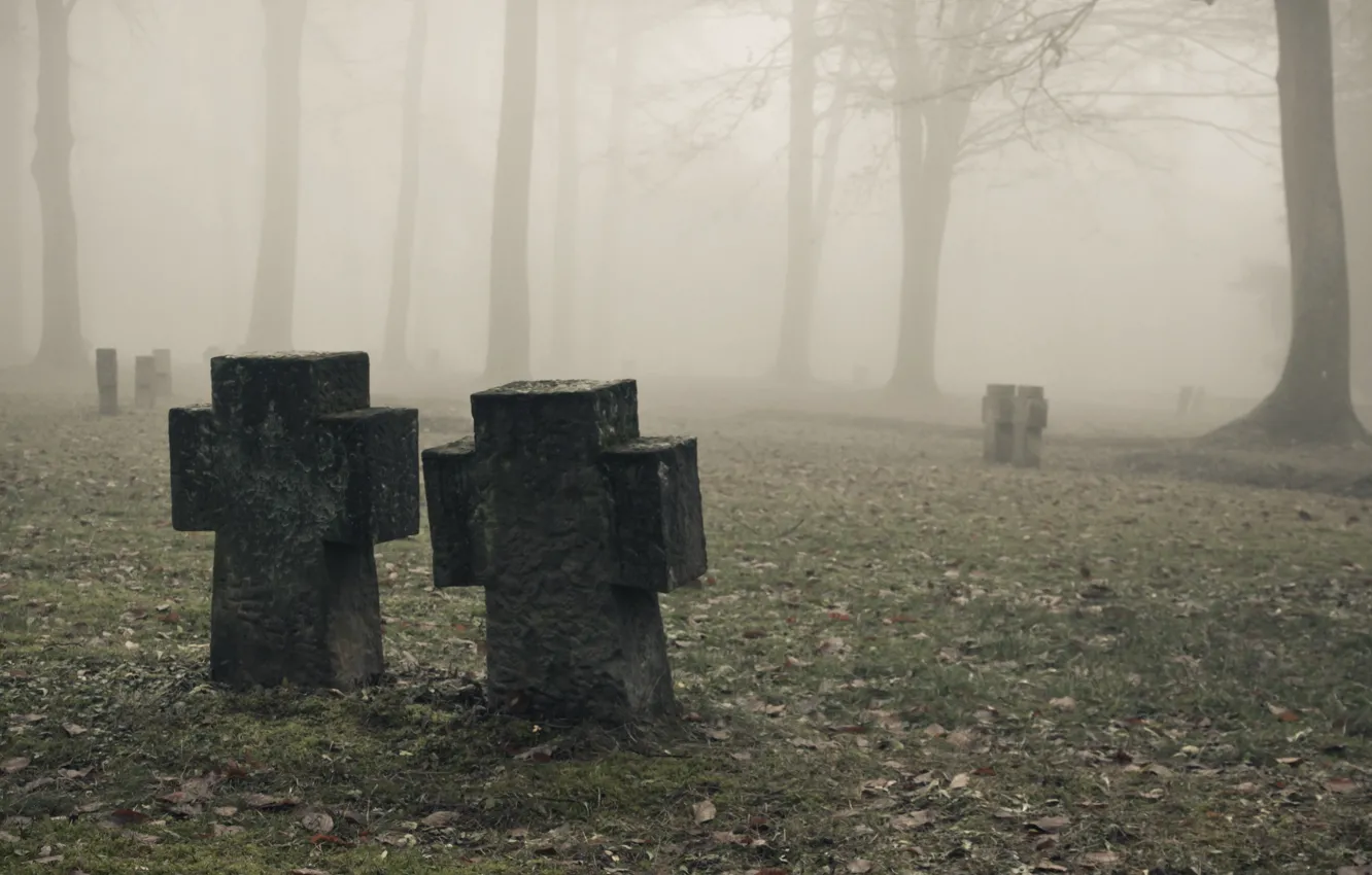 Wallpaper Mist, Fog, Fog, Cemetery, tombstones images for desktop