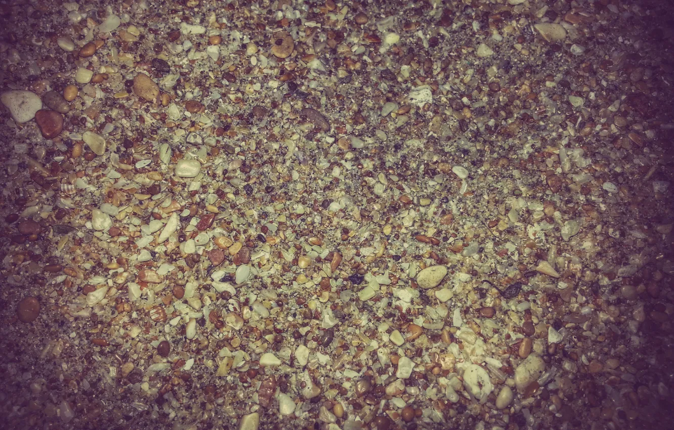 Photo wallpaper Sand, Beach, Stones, Shell, Particles