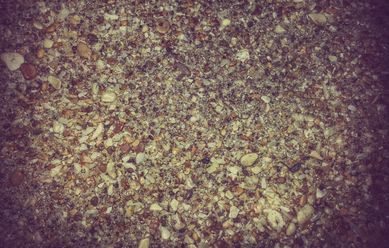 Photo wallpaper sand, beach, particles, stones, shell