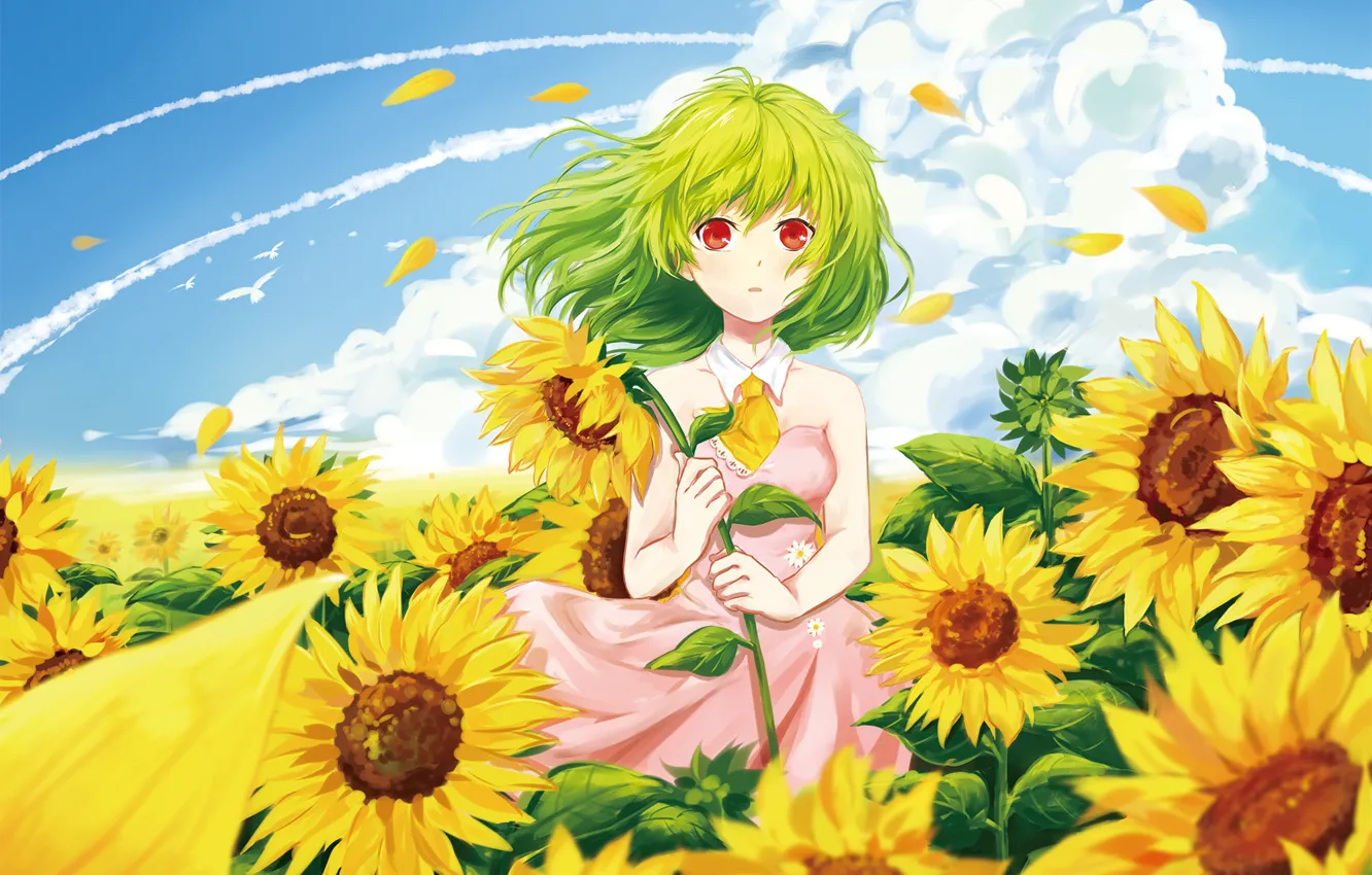 Photo wallpaper summer, girl, clouds, sunflowers, the wind, petals, art, touhou