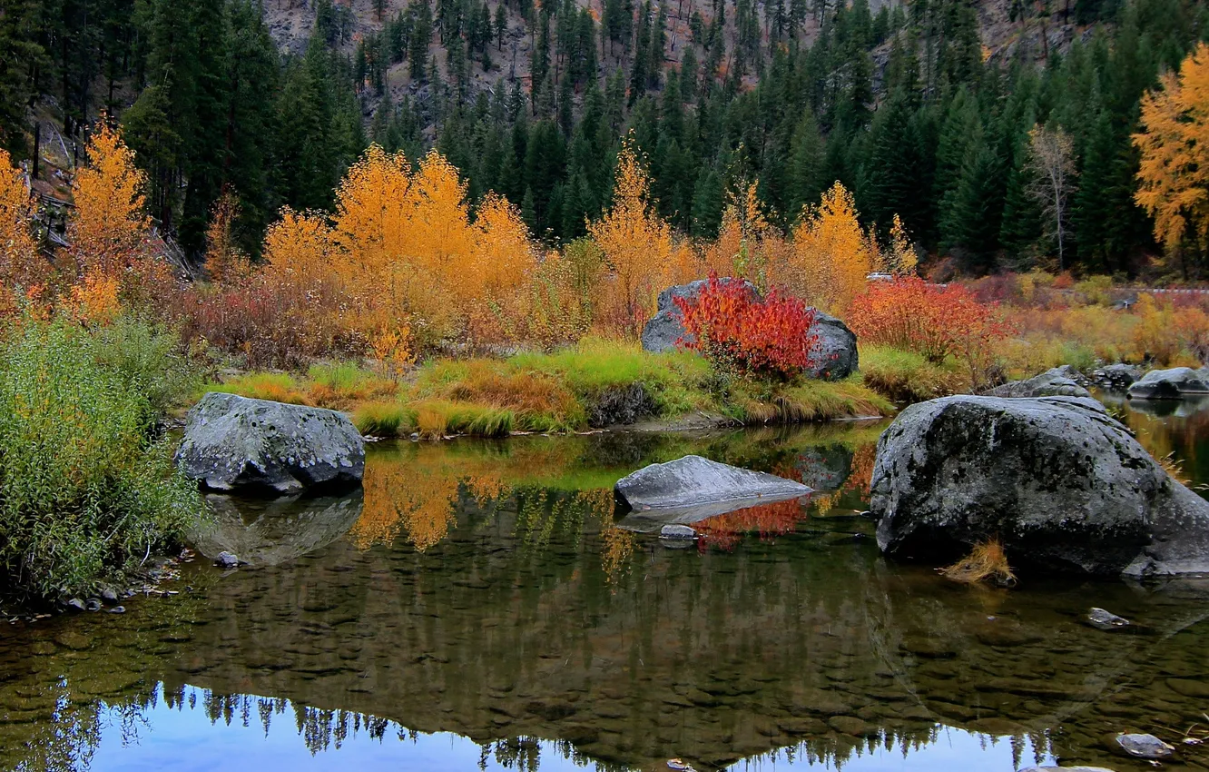 Photo wallpaper autumn, mountains, lake, the bushes