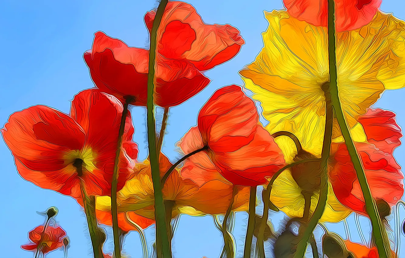 Photo wallpaper the sky, rendering, figure, Maki, vector, petals, stem, meadow