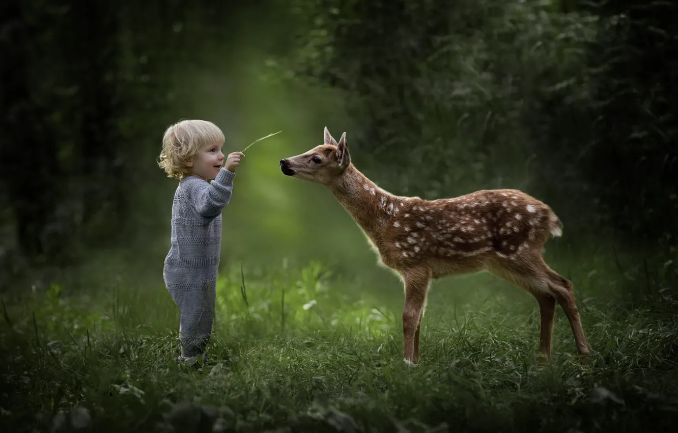 Photo wallpaper nature, child, boy, deer, cute, friends
