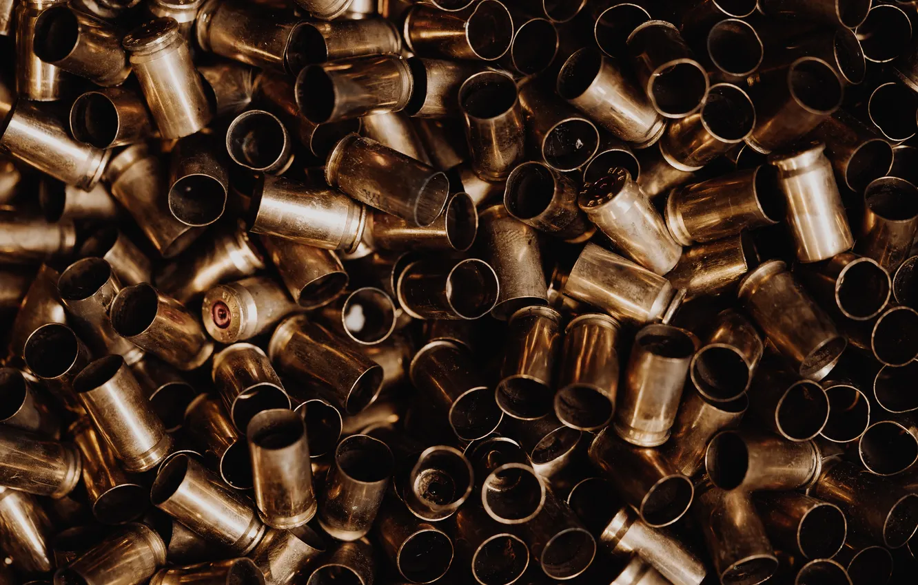 Photo wallpaper metal, shells, Empty