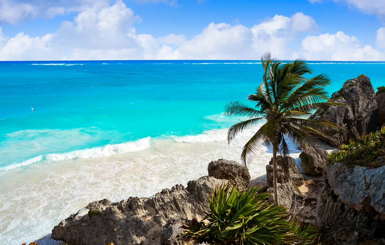 Photo wallpaper sand, sea, beach, summer, the sky, palm trees, summer, beach