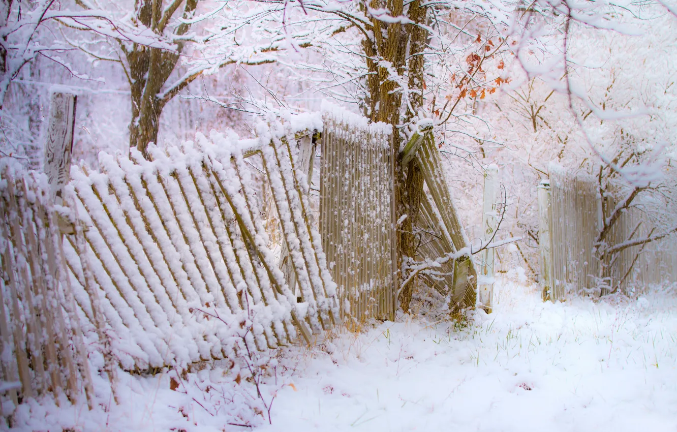Photo wallpaper winter, snow, trees, the fence, snowfall