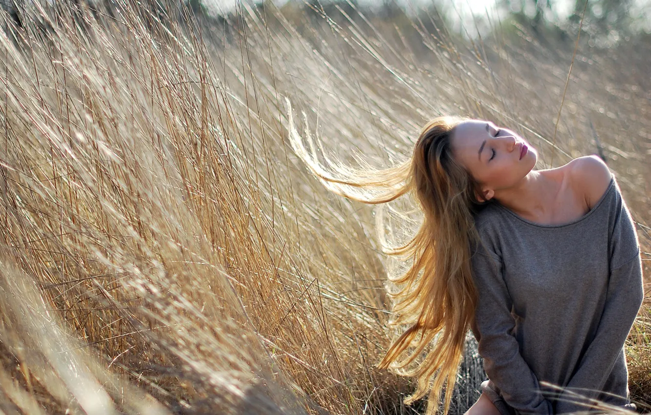 Photo wallpaper field, grass, hair, blonde, hay