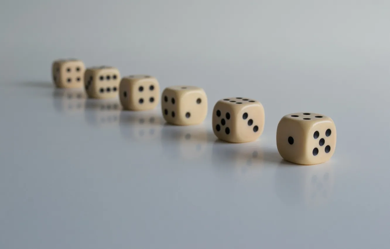 Photo wallpaper macro, the game, bones