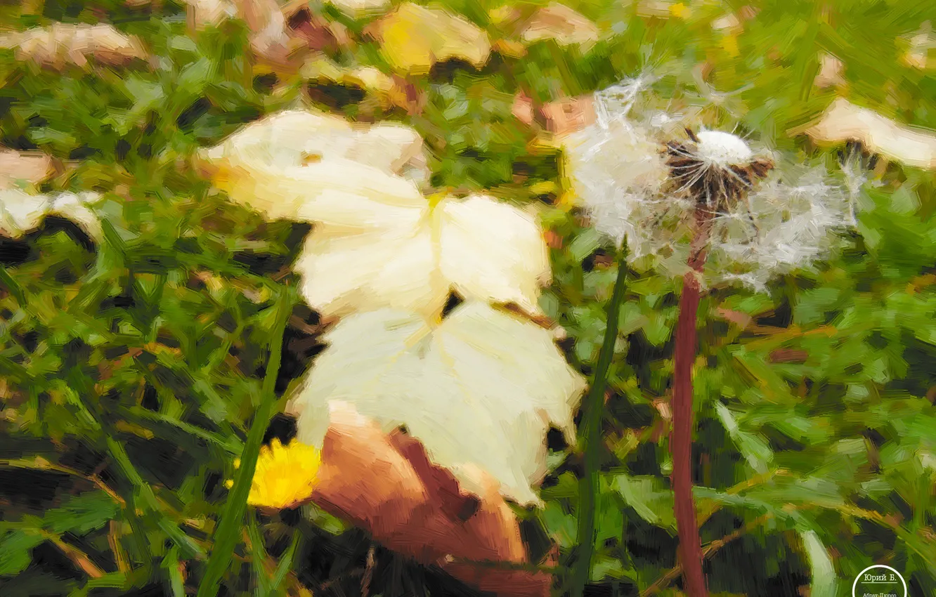 Photo wallpaper autumn, grass, leaves, flowers, dandelion, October, autumn, leaves