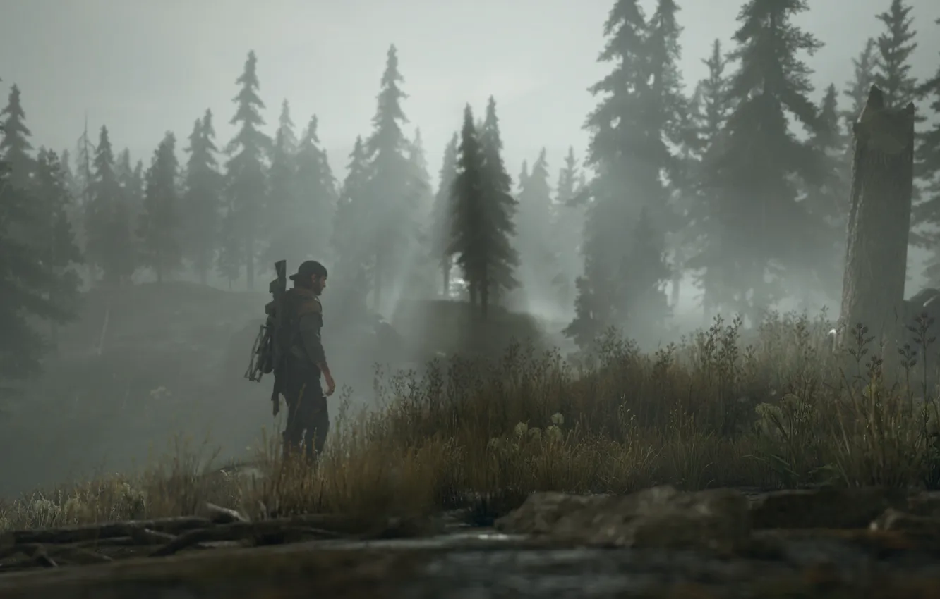 Photo wallpaper forest, fog, haze, male, postapokalipsis, computer game, Screenshot, Screenshot