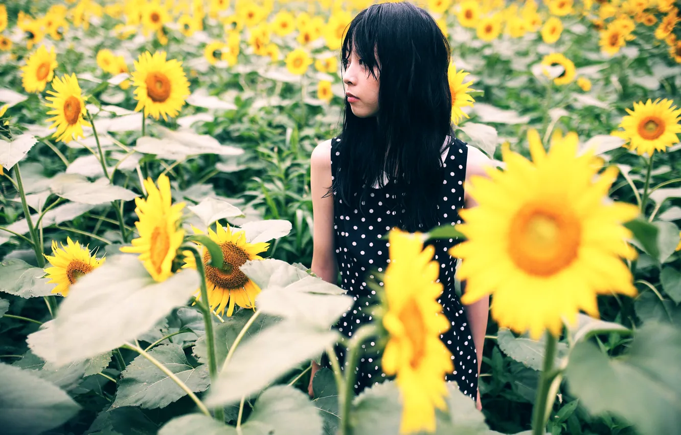 Photo wallpaper sunflowers, girl, East