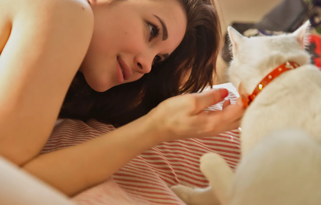 Photo wallpaper play, woman, young, cat, model, brunette, look, bed