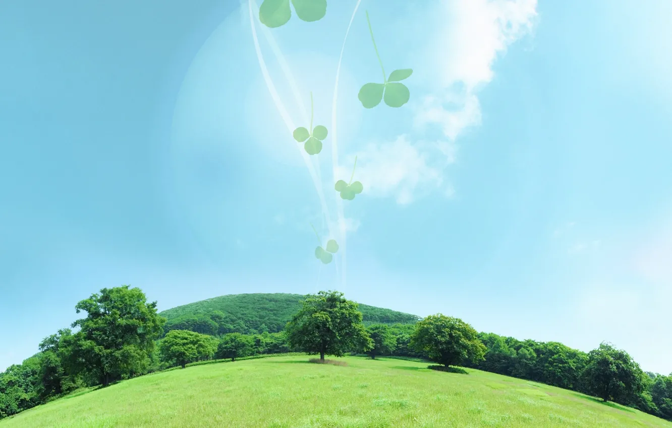 Photo wallpaper trees, meadow, clover