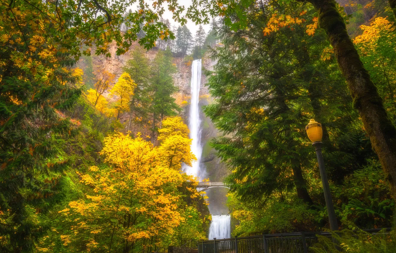 Photo wallpaper Oregon, tree, waterfalls, fall, during