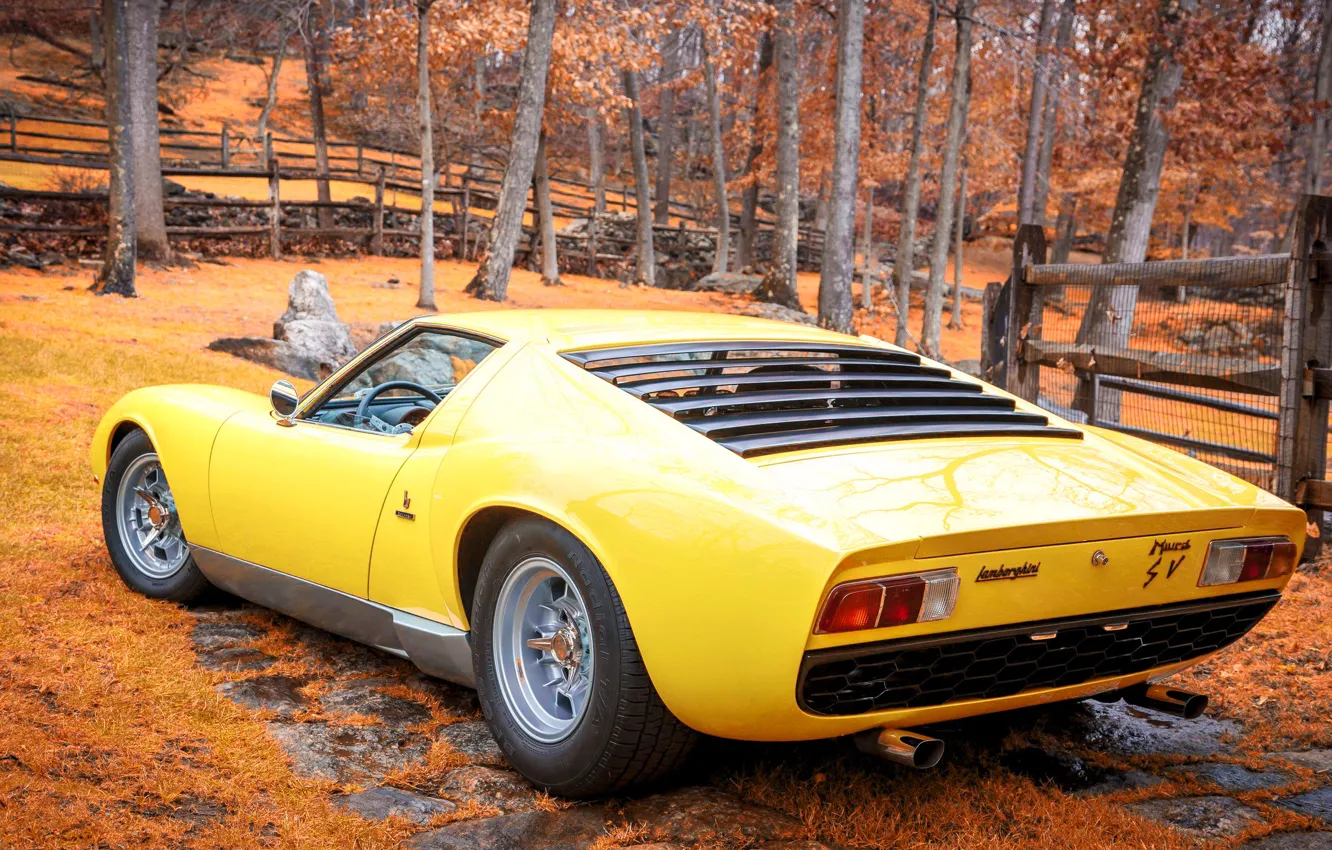 Photo wallpaper machine, auto, autumn, yellow, retro, Lamborghini, 1969, supercar
