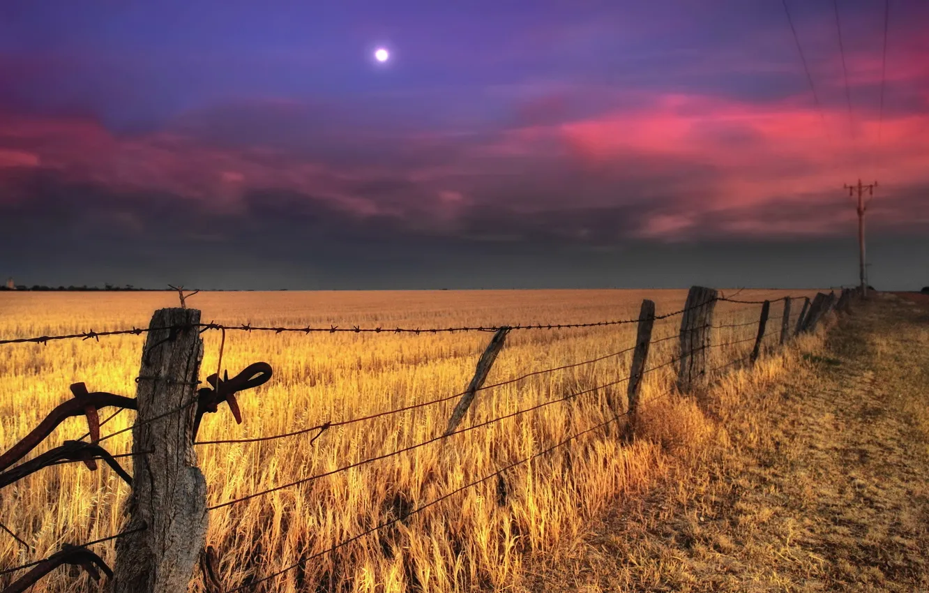 Photo wallpaper field, night, the fence