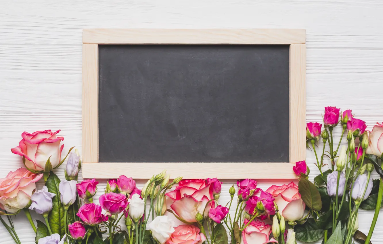 Photo wallpaper flowers, roses, Board, pink, buds, wood, pink, flowers