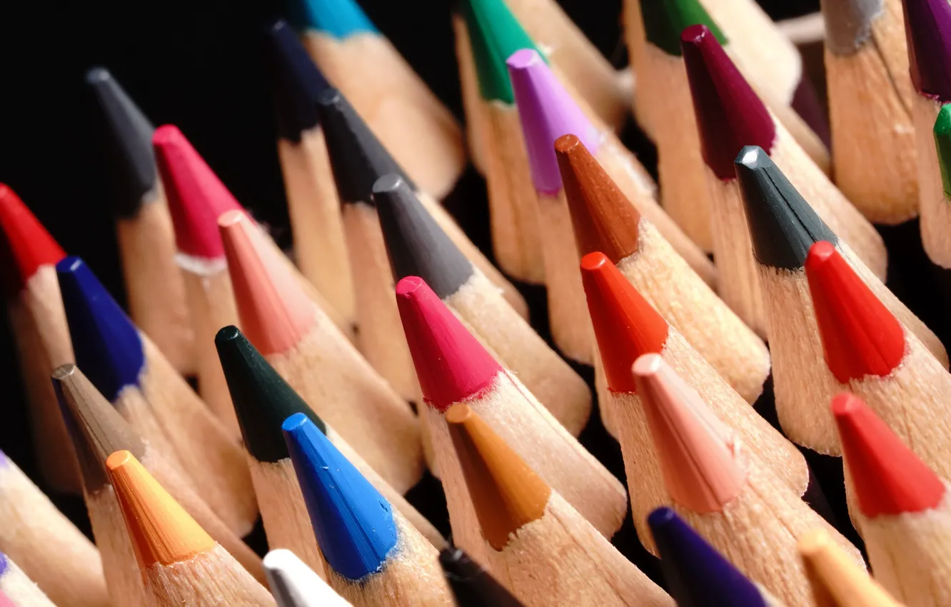 Photo wallpaper macro, color, pencils