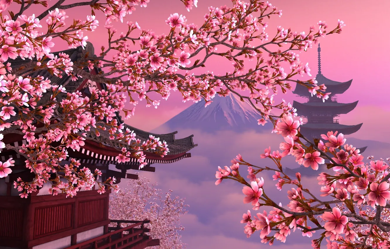 Photo wallpaper Japan, Sakura, pink, beautiful