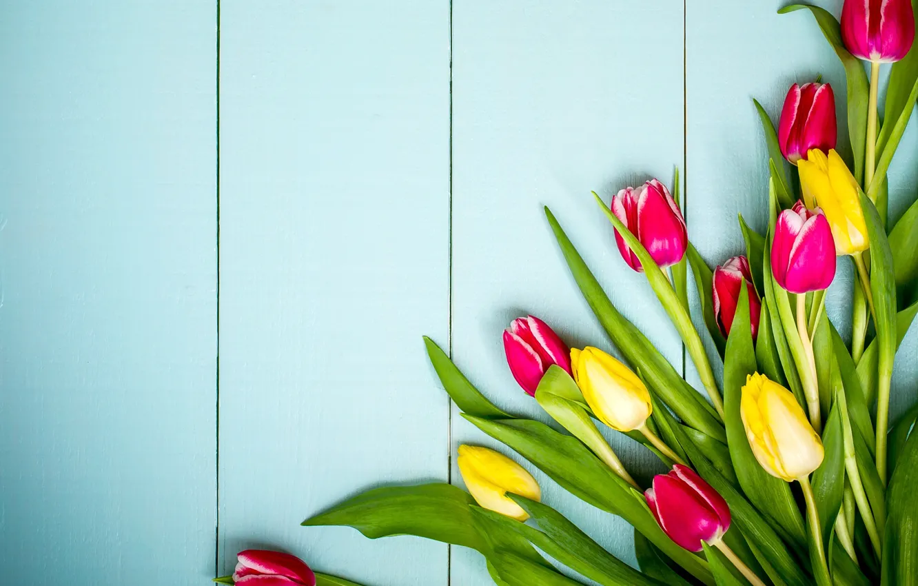 Photo wallpaper flowers, spring, colorful, tulips, yellow, wood, pink, flowers