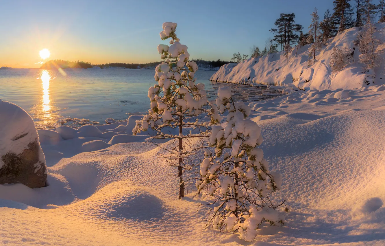 Photo wallpaper winter, the sun, snow, trees, landscape, nature, lake, dawn