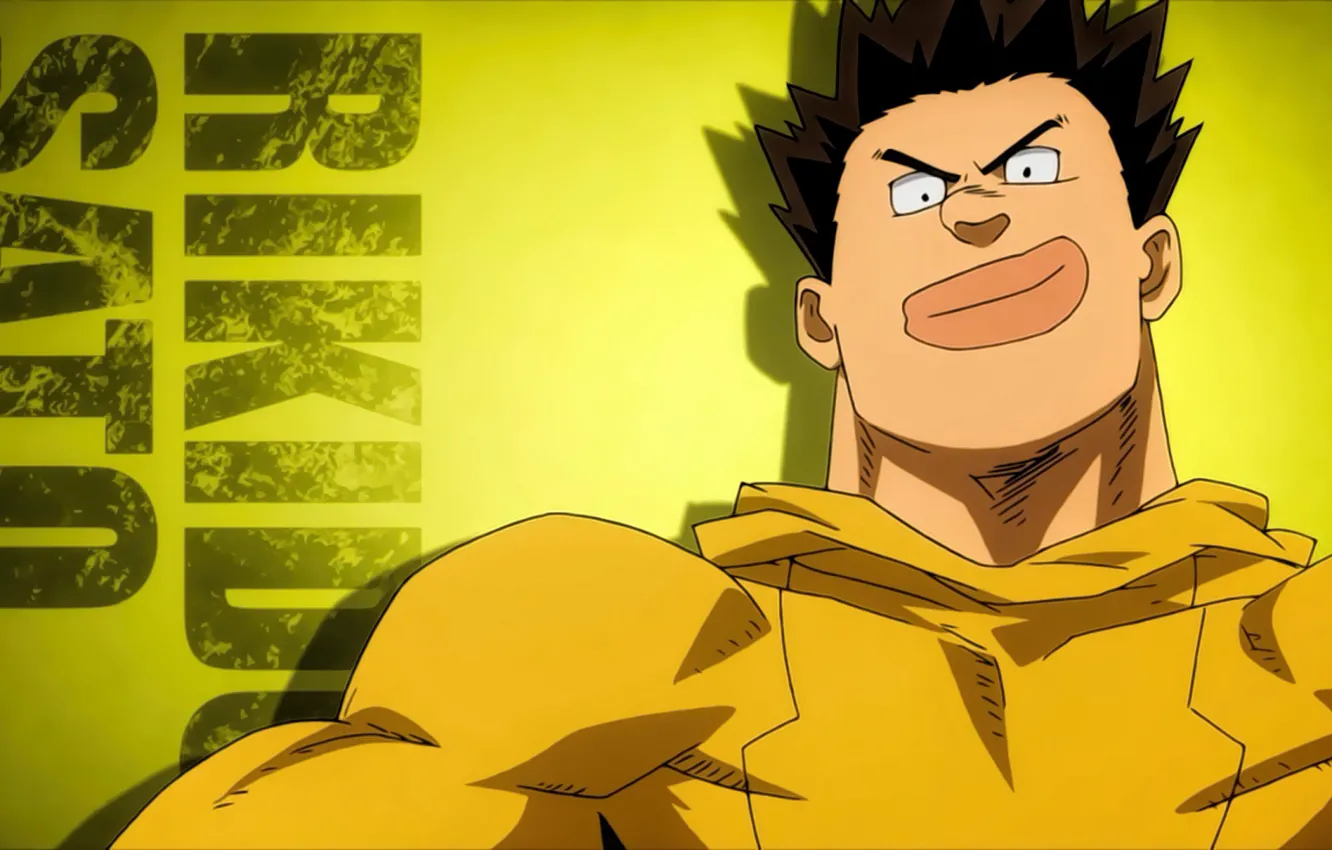 Photo wallpaper anime, hero, manga, japanese, by sanoboss, Boku no Hero Academy, My Hero Academia, 015