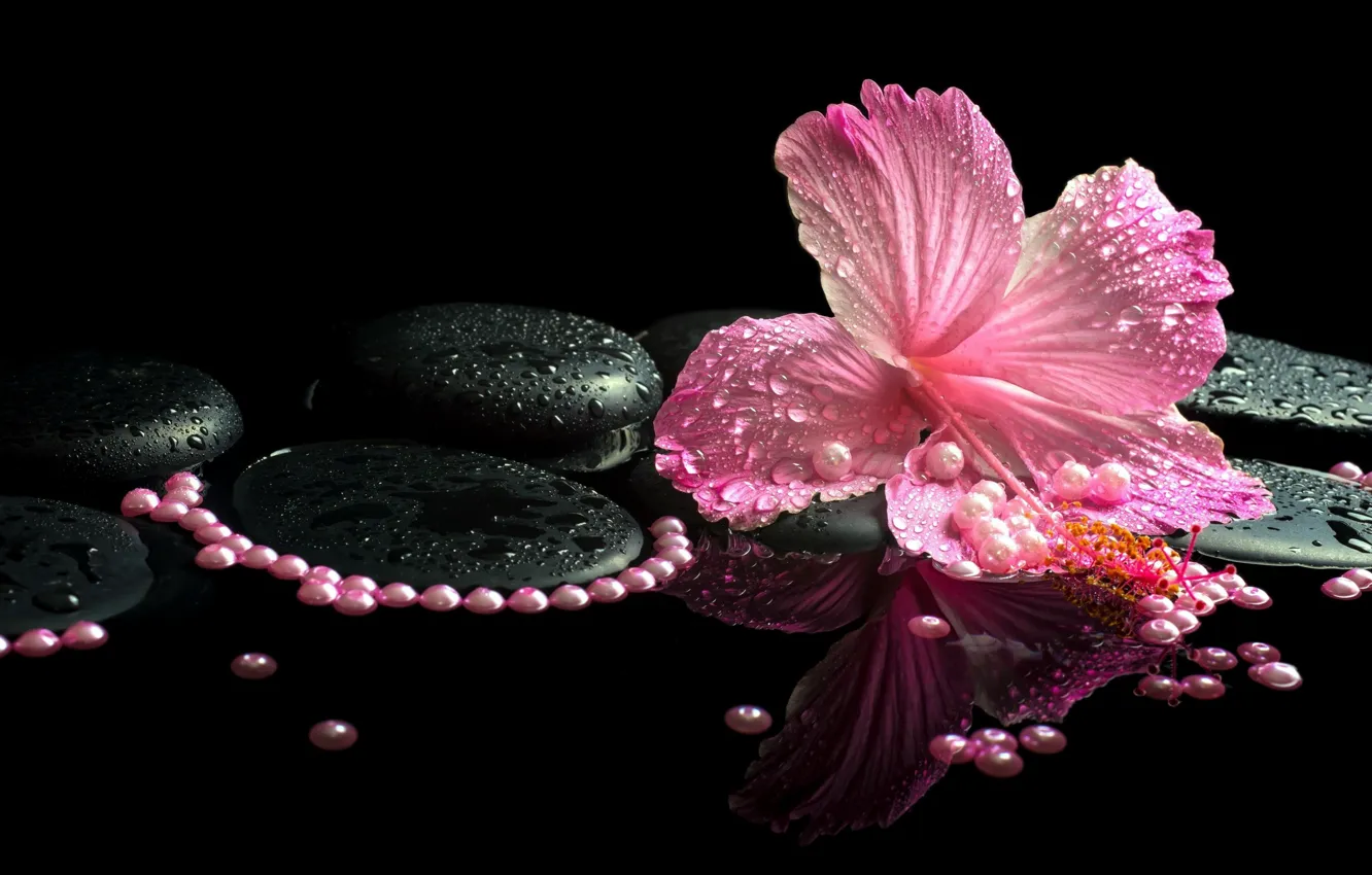Photo wallpaper beads, black background, hibiscus, Spa stones