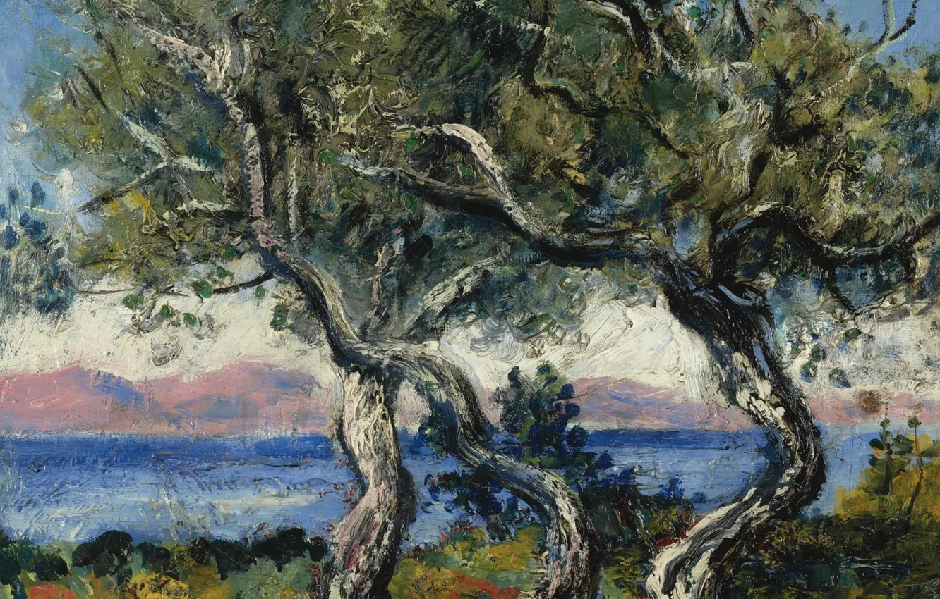 Photo wallpaper landscape, picture, Francis Picabia, Francis Picabia, Olive Trees