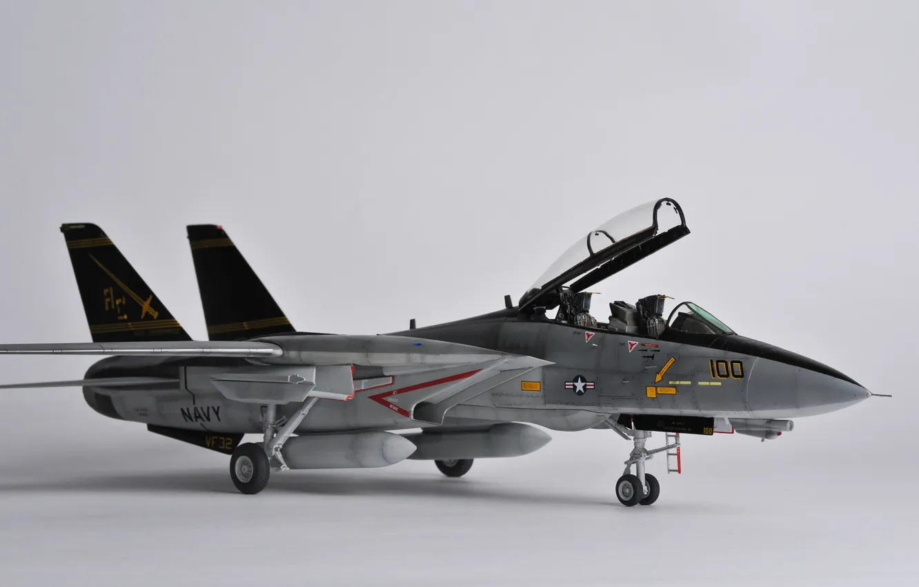 Photo wallpaper toy, fighter, jet, Tomcat, double, model, Grumman F-14, "Tomcat"