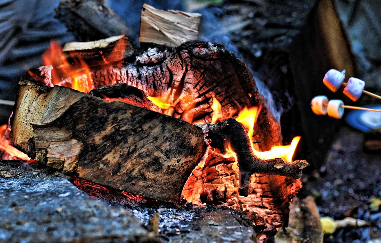 Photo wallpaper lights, the fire, coal, wood