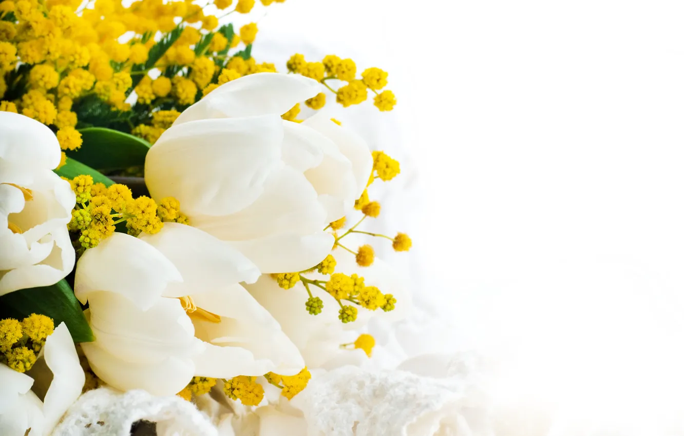 Photo wallpaper bouquet, yellow, tulips, white background, white, closeup, Mimosa