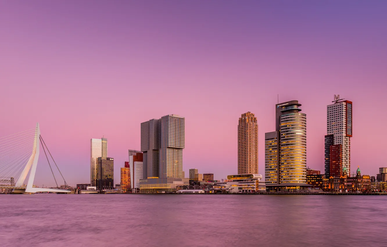 Photo wallpaper the sky, bridge, the city, river, skyscrapers, pink, Netherlands, Rotterdam