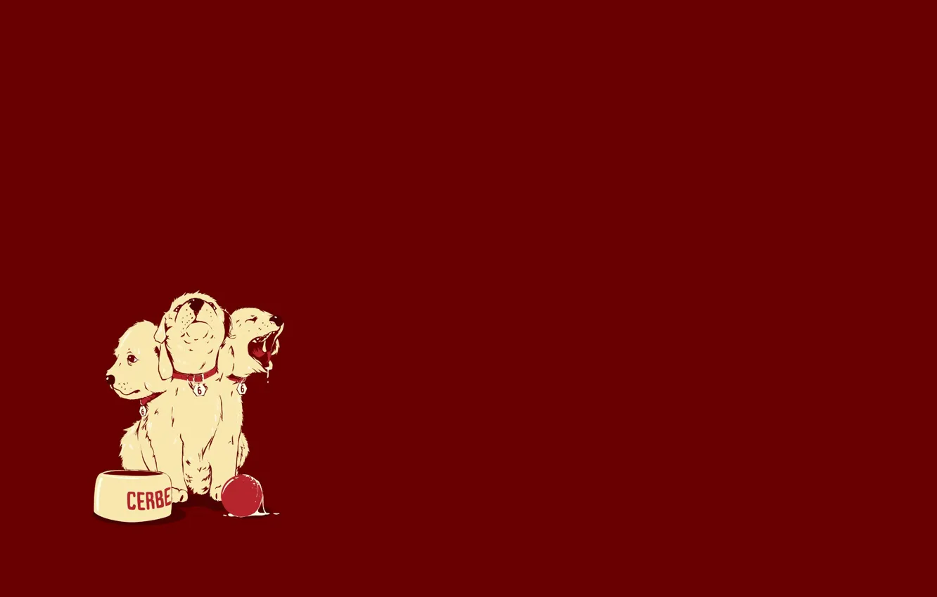 Photo wallpaper dog, puppy, head, bowl, the ball, dog, Cerberus, 666