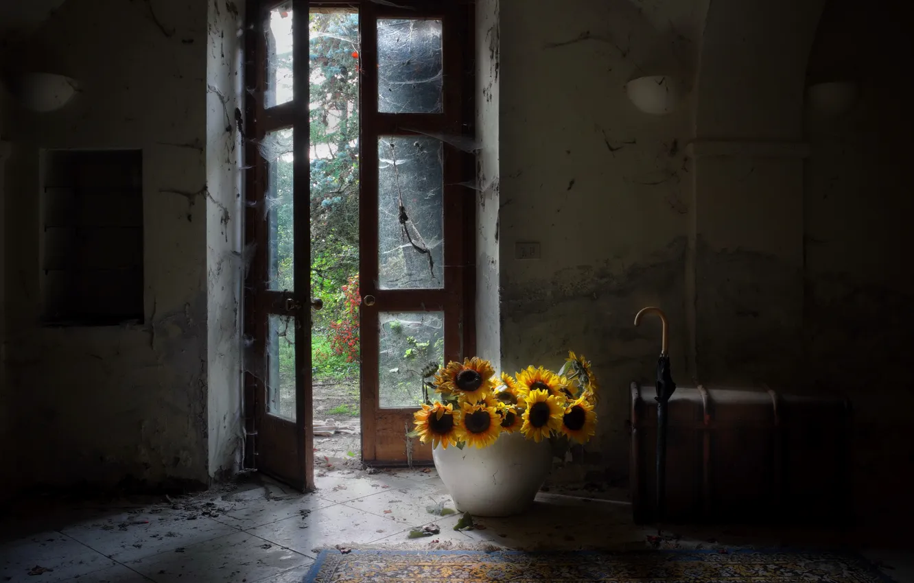 Photo wallpaper sunflowers, room, umbrella, the door