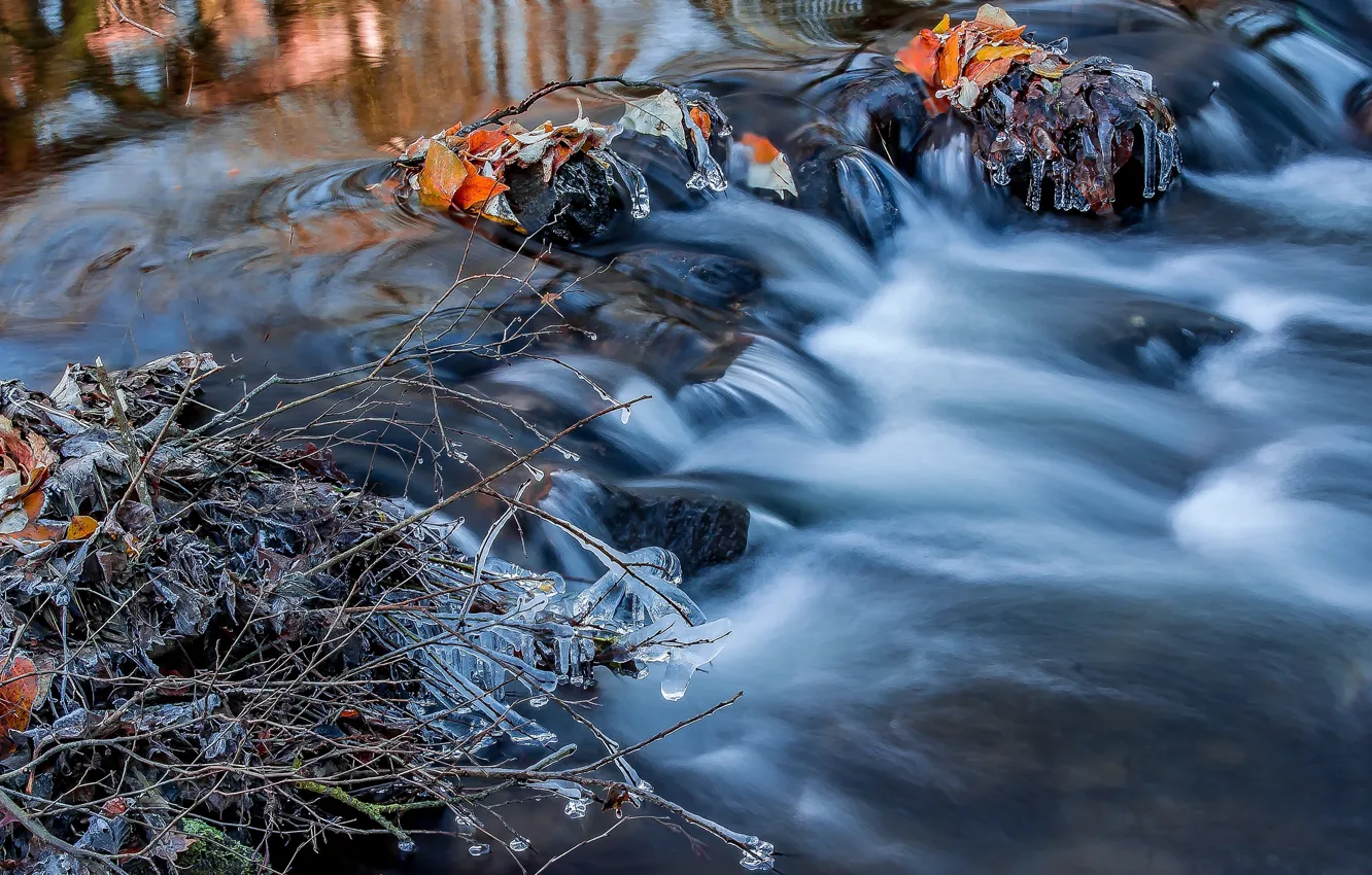 Photo wallpaper autumn, water, branches, nature, river, stones, for, ice