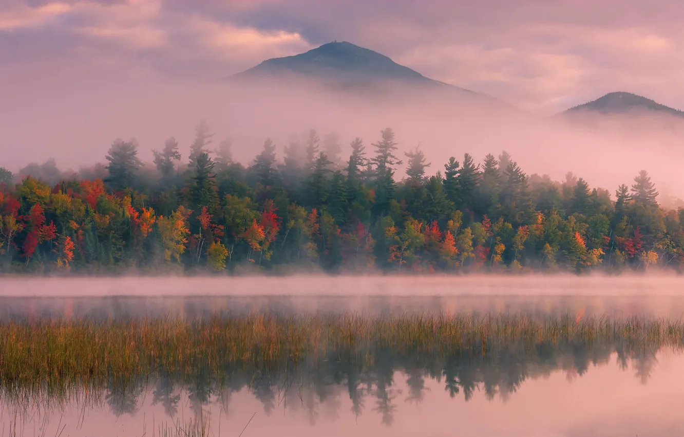 Photo wallpaper autumn, trees, mountains, fog, USA, the state of new York