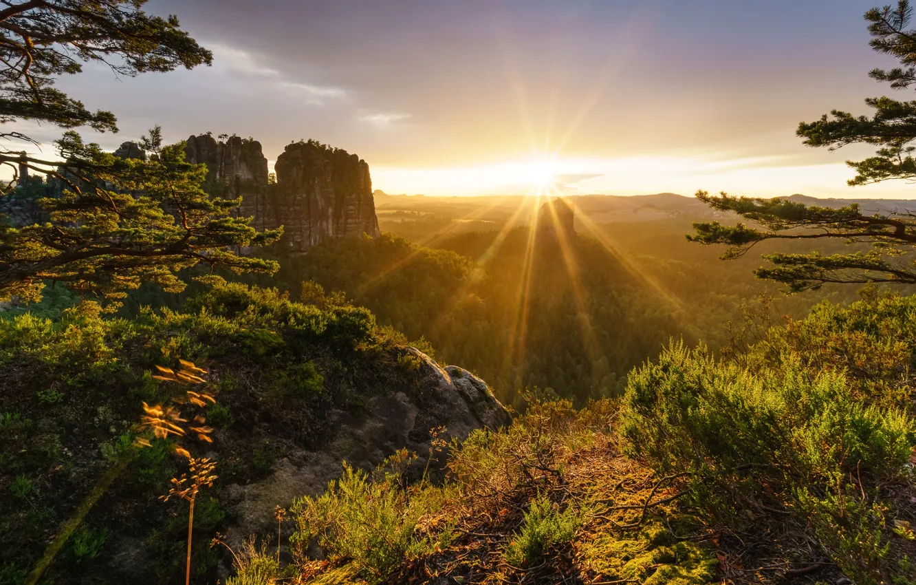 Photo wallpaper forest, trees, mountains, stones, rocks, Switzerland, Alps, the rays of the sun