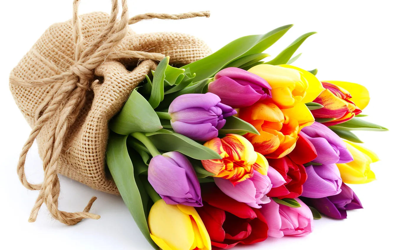 Photo wallpaper flowers, bouquet, colorful, tulips, flowers, tulips, spring, bouquet