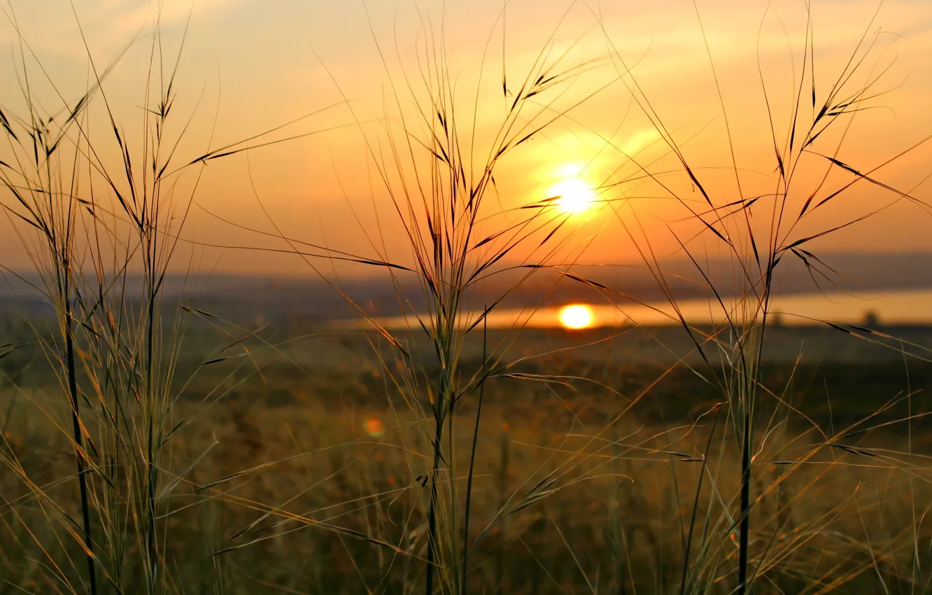 Photo wallpaper sunset, lake, Shir, Khakassia