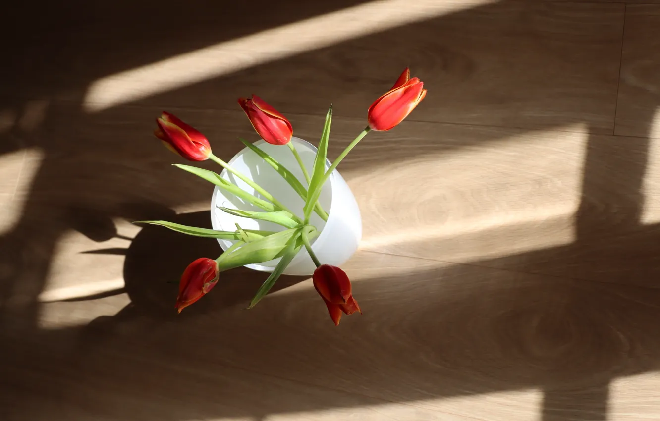 Photo wallpaper light, glass, strip, Board, bouquet, flooring, tulips, floor