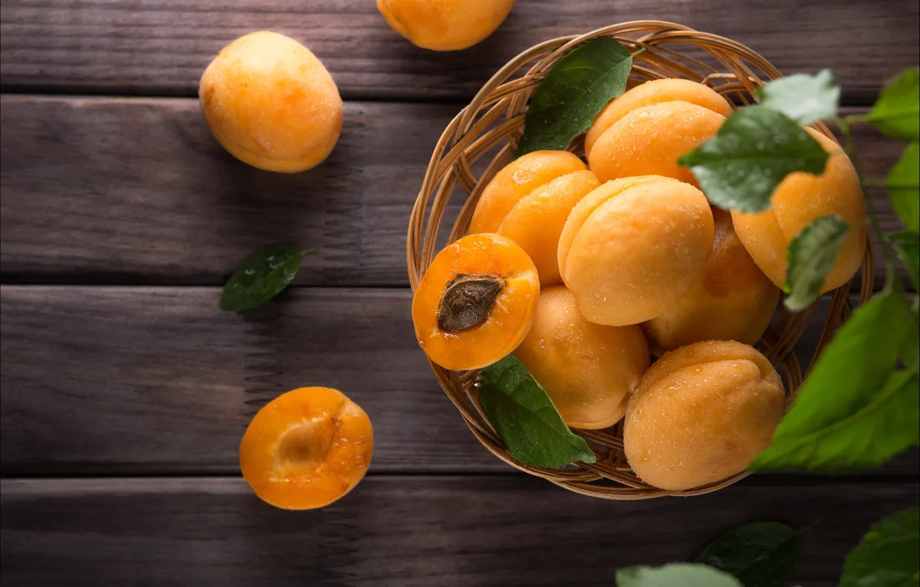 Photo wallpaper leaves, drops, Board, bone, fruit, network, fresh, apricots
