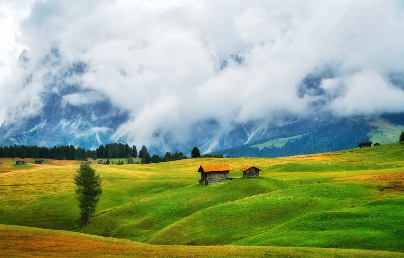 Photo wallpaper field, mountains, fog, Alps, meadow, house