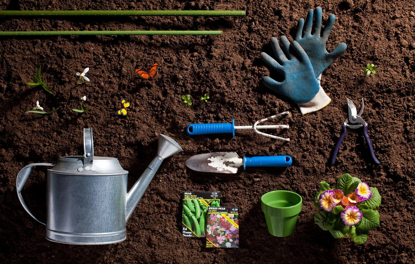 Photo wallpaper spring, tool, the garden