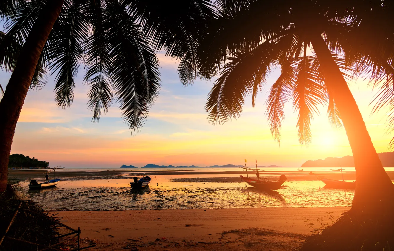 Photo wallpaper sand, sea, wave, beach, summer, the sky, sunset, palm trees