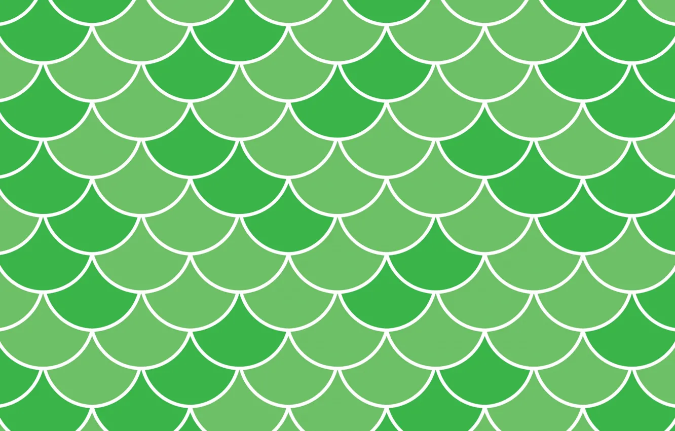 Photo wallpaper background, texture, green, scallops
